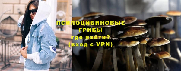 индика Абинск