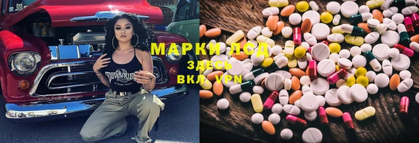 индика Абинск