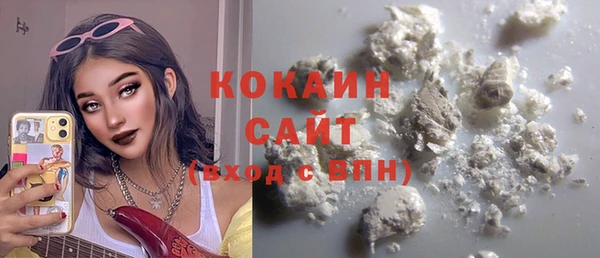 индика Абинск