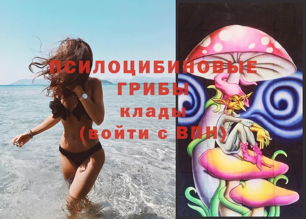 apvp Алексин